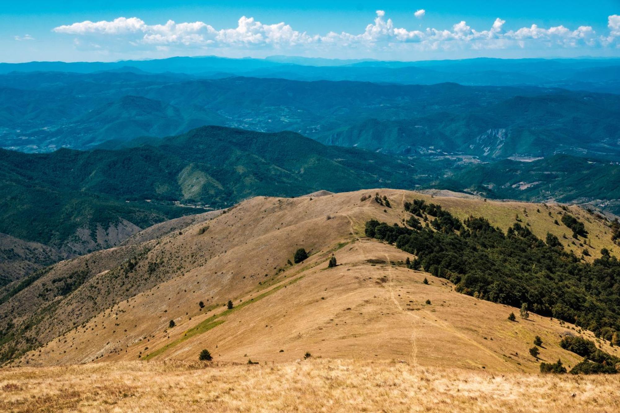 Apartmani Kraljevi Cardaci Kopaonik Esterno foto
