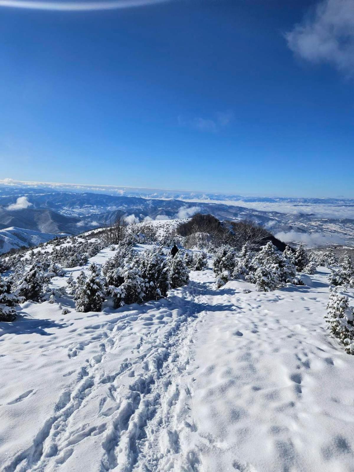Apartmani Kraljevi Cardaci Kopaonik Esterno foto